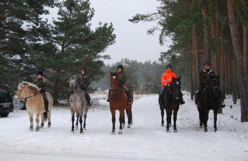 Ferienhaus Zum Pferdestall - Photo 16