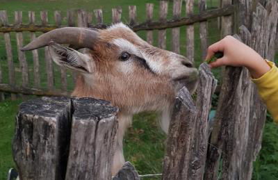 Apartment Altes Pfarrhaus in Plau am See - Foto 53