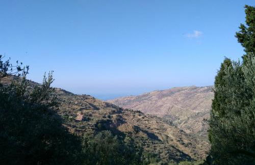 L'Uliveto - Foto 135