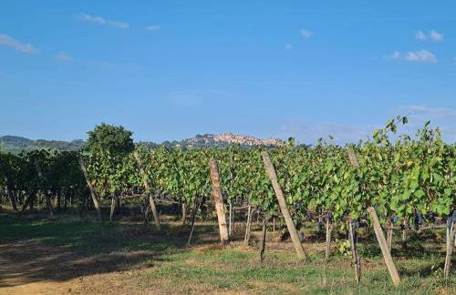 Montepulciano - La Casetta del Pian delle Noci - Foto 54