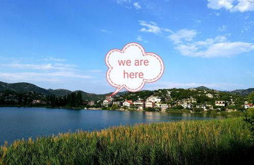 Apartment Cvijanović - Foto 3