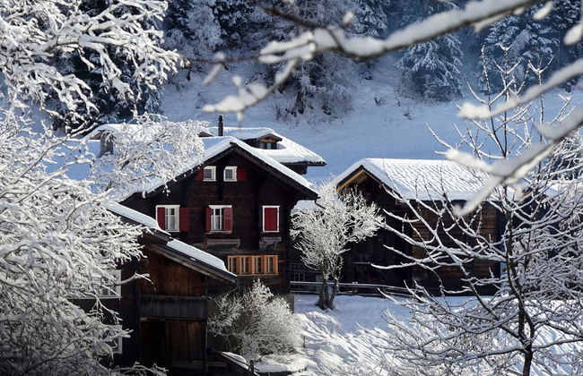 LuxLax 2. OG Süd - Foto 17