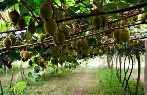 Casa de São Vicente de Cima - Foto 37