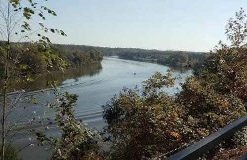 The Divine Cottage! Woodsy Hideaway! - Foto 65