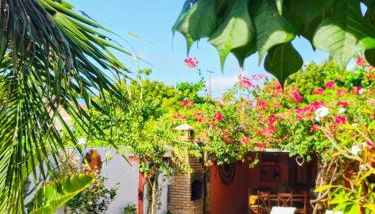 Casa Dos Patos - Foto 3