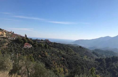 Bungalow in Ferienresidenz mit Pool - Foto 32