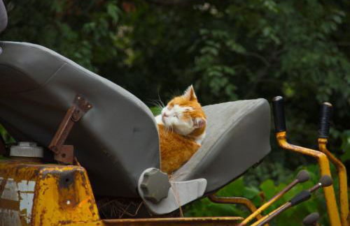 Le Petit Chateau - Foto 73