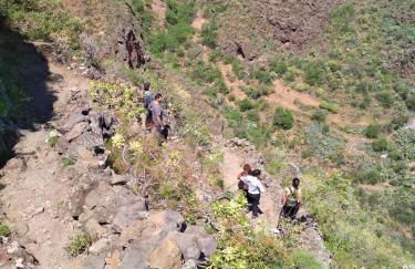 Vivienda Vacacional La Aldea de San Nicolas - Foto 28