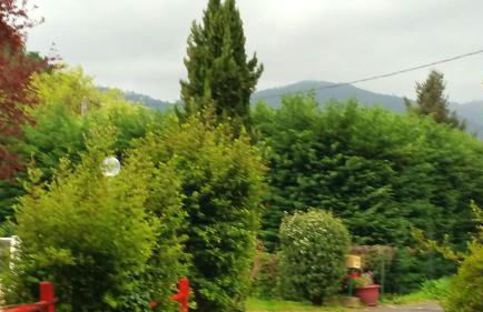 Chalet charmant à Saint-Jean-du-Gard - Foto 20