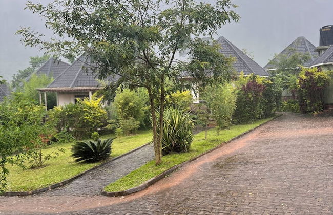 Rafiki Safari Lodge Bwindi - Foto 28