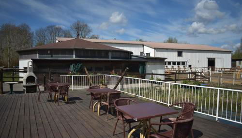 Idylle auf dem Reiterhof bei Husum - Foto 5