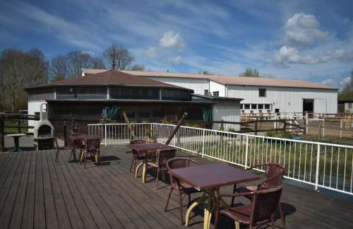 Idylle auf dem Reiterhof bei Husum - Foto 5