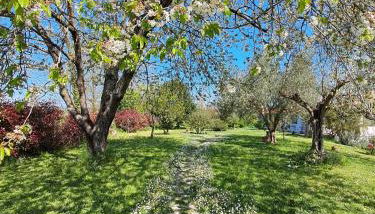 Bed & Breakfast Parco di Veio - Foto 3, Garden, Garden view