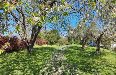 Bed & Breakfast Parco di Veio - Foto 3