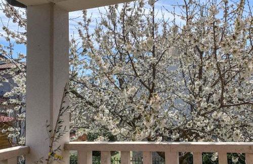 Apartments Leone - Photo 72