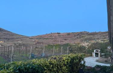 Il Rifugio dorato guest house - Foto 26