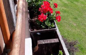 Ferienwohnung Gipfelstürmer - Foto 24