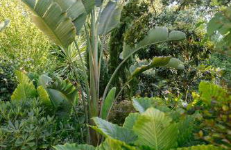 Kipos Mon Repos - Foto 38