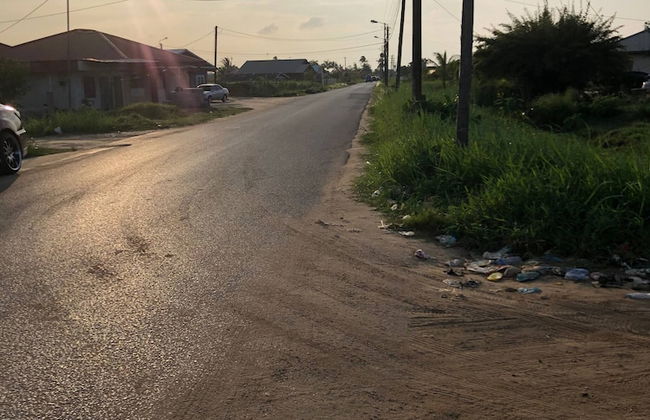 Logerthine Jan Suriname - Foto 6