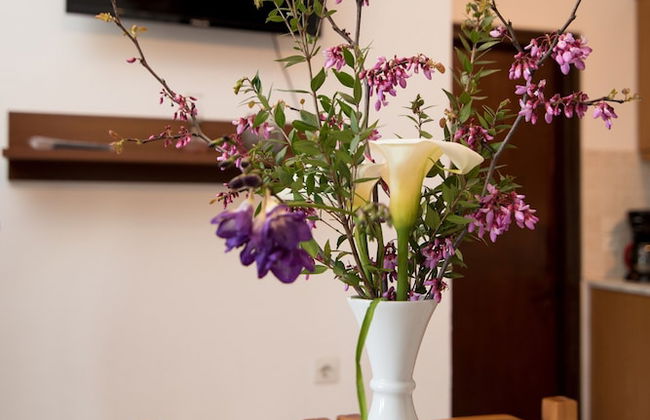 Villa Blue Pearl Apartments in Agios Georgios Beach Corfu - Foto 32