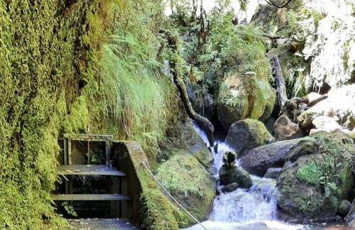 Casa da Guida - Foto 41