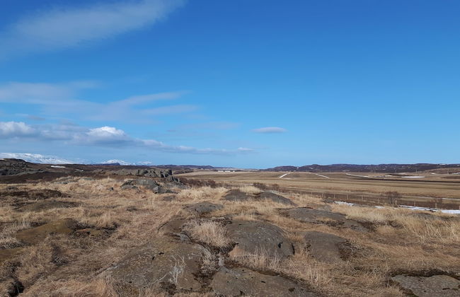 Hjartarstadir Guesthouse - Foto 30