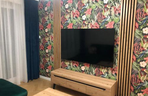 Solankowa Aleja Apartament Egzotyczny - Foto 5