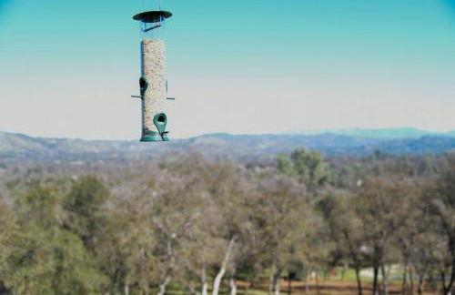 Sierra Ranch - A Yosemite Retreat - Foto 30