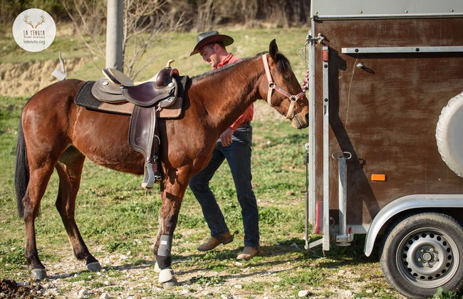 La Tenuta - Resort Agricolo - Foto 41
