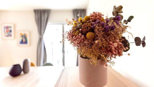 MIRA Living - Photo 4