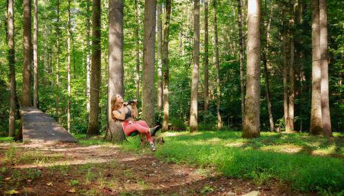 Saluda Summit Cabin at Cabin Fever - Foto 3