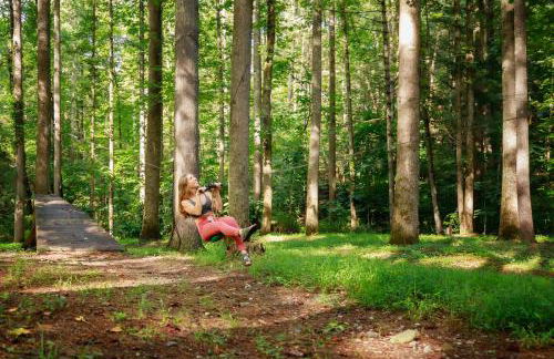 Bird's Nest cabin at Cabin Fever in NC - Foto 15