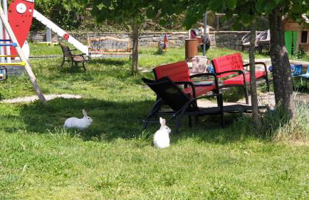 Casas la Ribera Ordesa - Foto 20