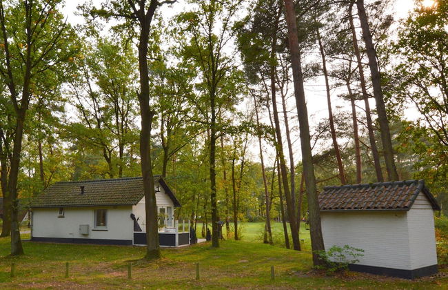 Holiday Home in Stramproy Near Nature Reserves - Photo 26