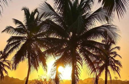 CUMBUCO - Eco Paradise - AP 112 - Rezende temporada - Photo 52