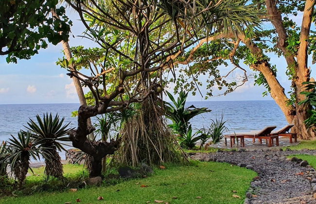 Ciliks Beach Garden - Foto 42