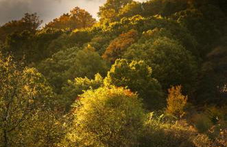 Finca La Machota Centro de Naturaleza - Foto 59