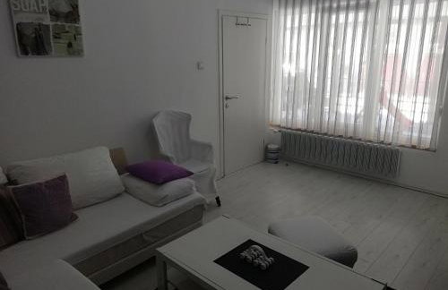 Apartments Krapinske Toplice Krtak Biba - Foto 32