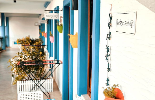 Tas Apart - Photo 34