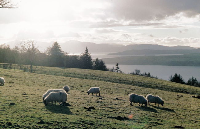 Charming Yurt in Kelburn Estate Near Largs - Foto 10
