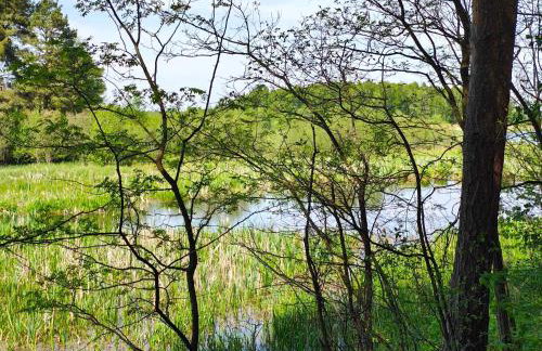 Leśniczówka Zielone Zakole - Foto 56