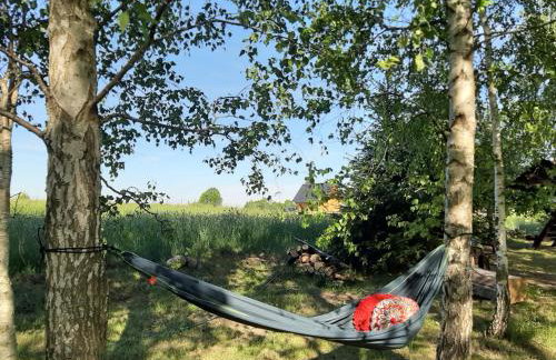 GREEN HOUSE - Foto 52