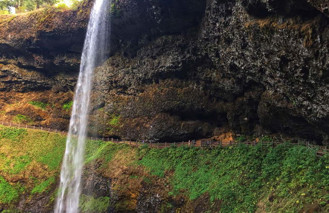 Excursión al Parque Estatal Silver Falls - Foto 2