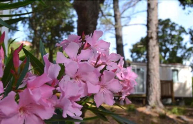 Résidence les Pavillons du Golfe - Foto 42