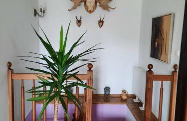 Dom wakacyjny-Czereśniowy Sad - Foto 35