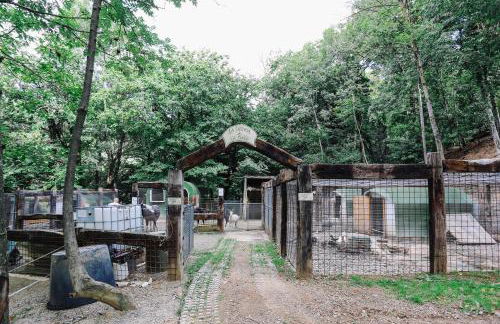 AGRITURISMO CA' FENILE - Foto 43