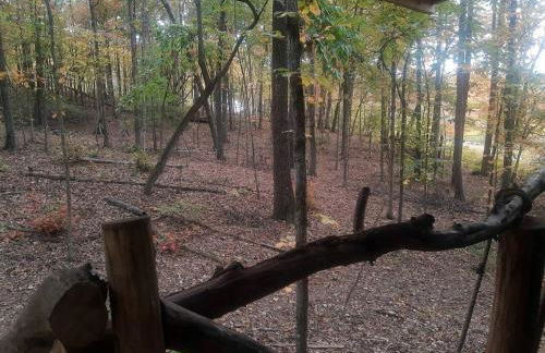 Dreamy Treehouse Cabin Oasis Near Piney River, Tennessee - Foto 15