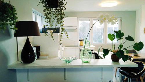 Superbe T3 terrasse et jardin centre bourg - Foto 5