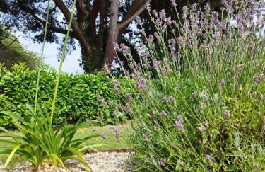 Cadre Verdoyant et Plage à Pied - Foto 18