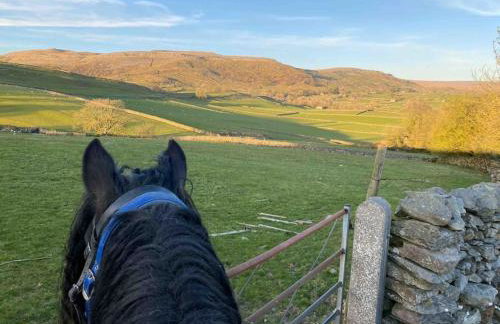 Charming dog-friendly Yorkshire Dales Cottage, Austwick - Foto 78